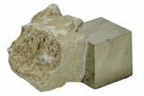 Natural Pyrite Cube In Rock - Navajun, Spain #168452-1